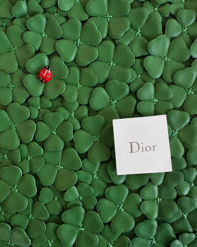 Deze afbeelding heeft een leeg alt-attribuut; de bestandsnaam is Dior-Anderson--819x1024.jpg